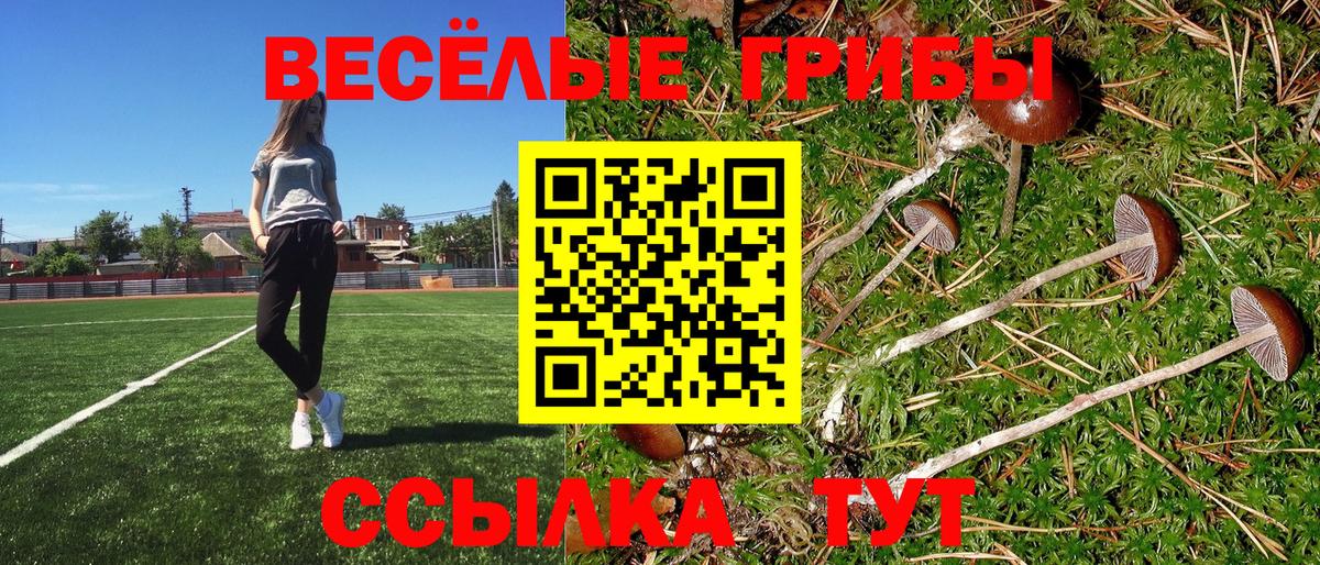 Псилоцибиновые грибы ЛСД Великий Устюг