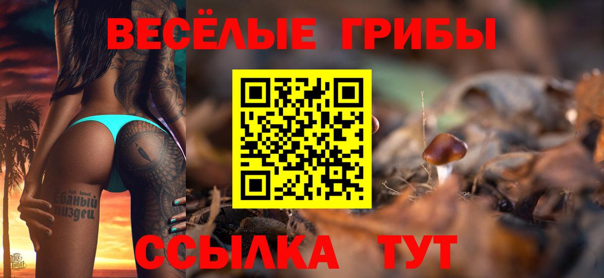 Великий Устюг  купить  цена  Вход с VPN  Галлюциногенные грибы Psilocybine cubensis  Псилоцибиновые грибы прущие грибы 