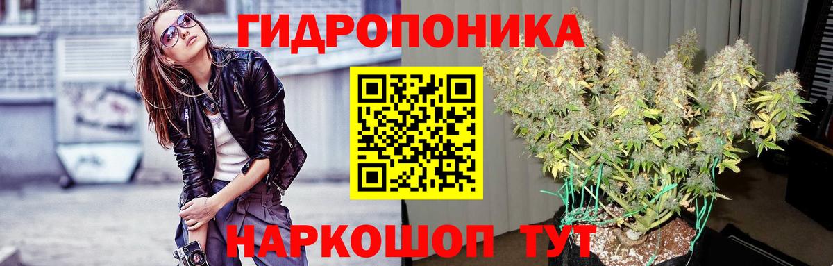 Великий Устюг  Канабис тримм  Вход с VPN  Конопля White Widow 